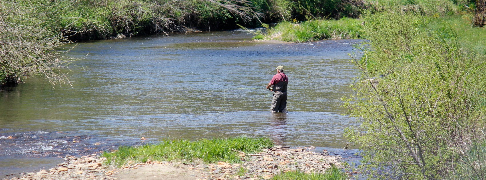 Trout Stocking 2017  | The New River