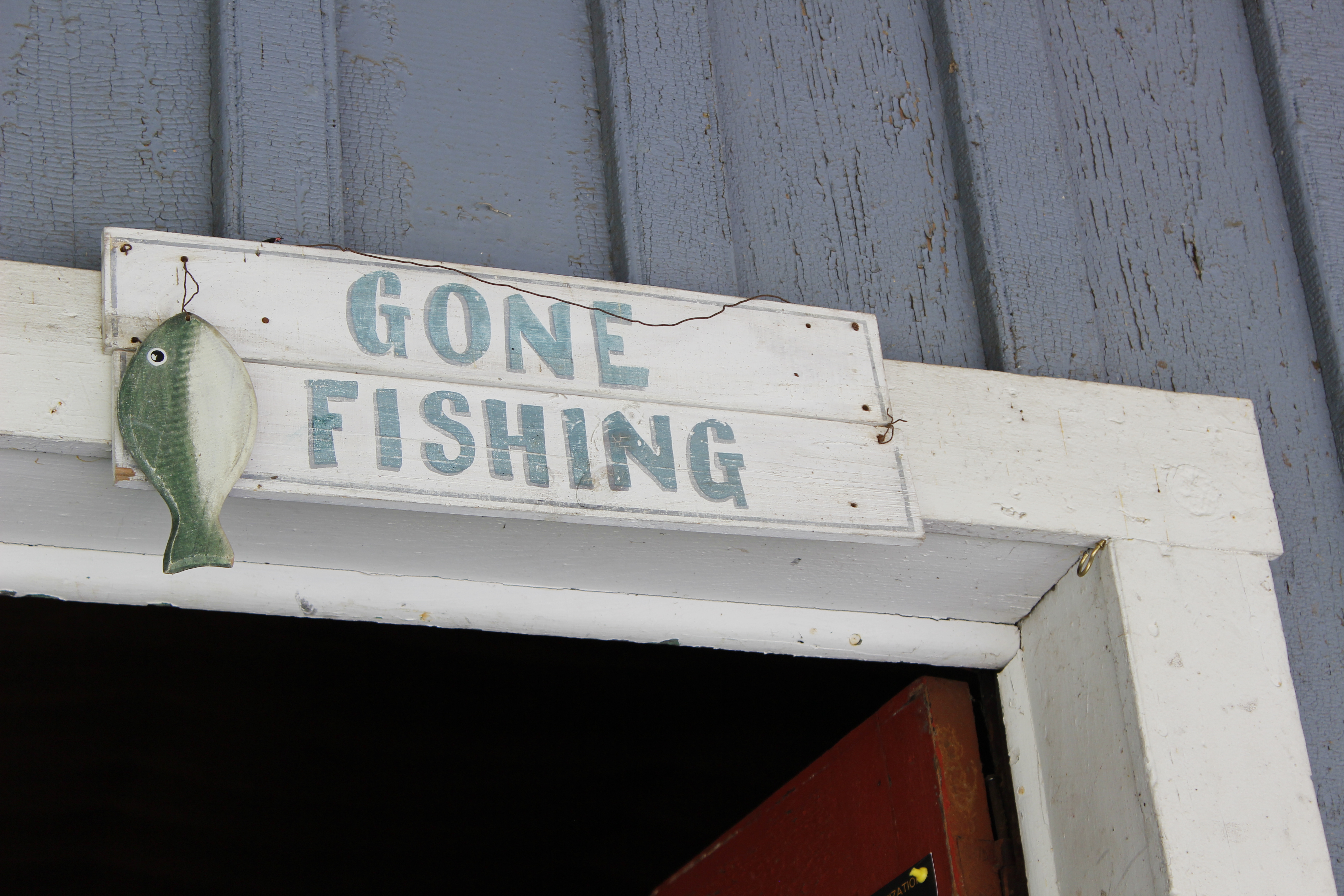 Fishing in Todd